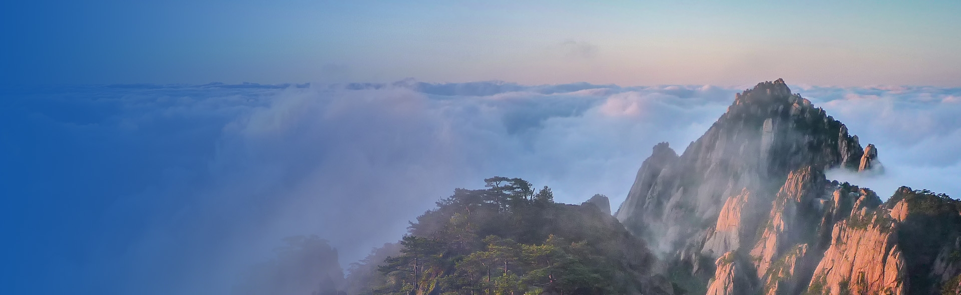 集團概況